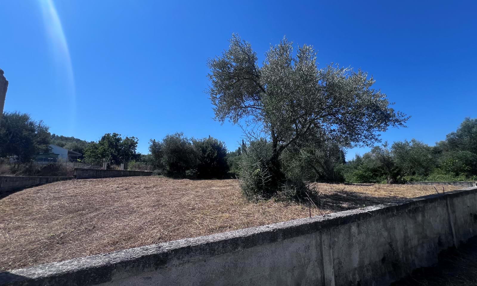Listing photograph 2 of 3 of the land in Velonades, published by Corfu Home Finders.