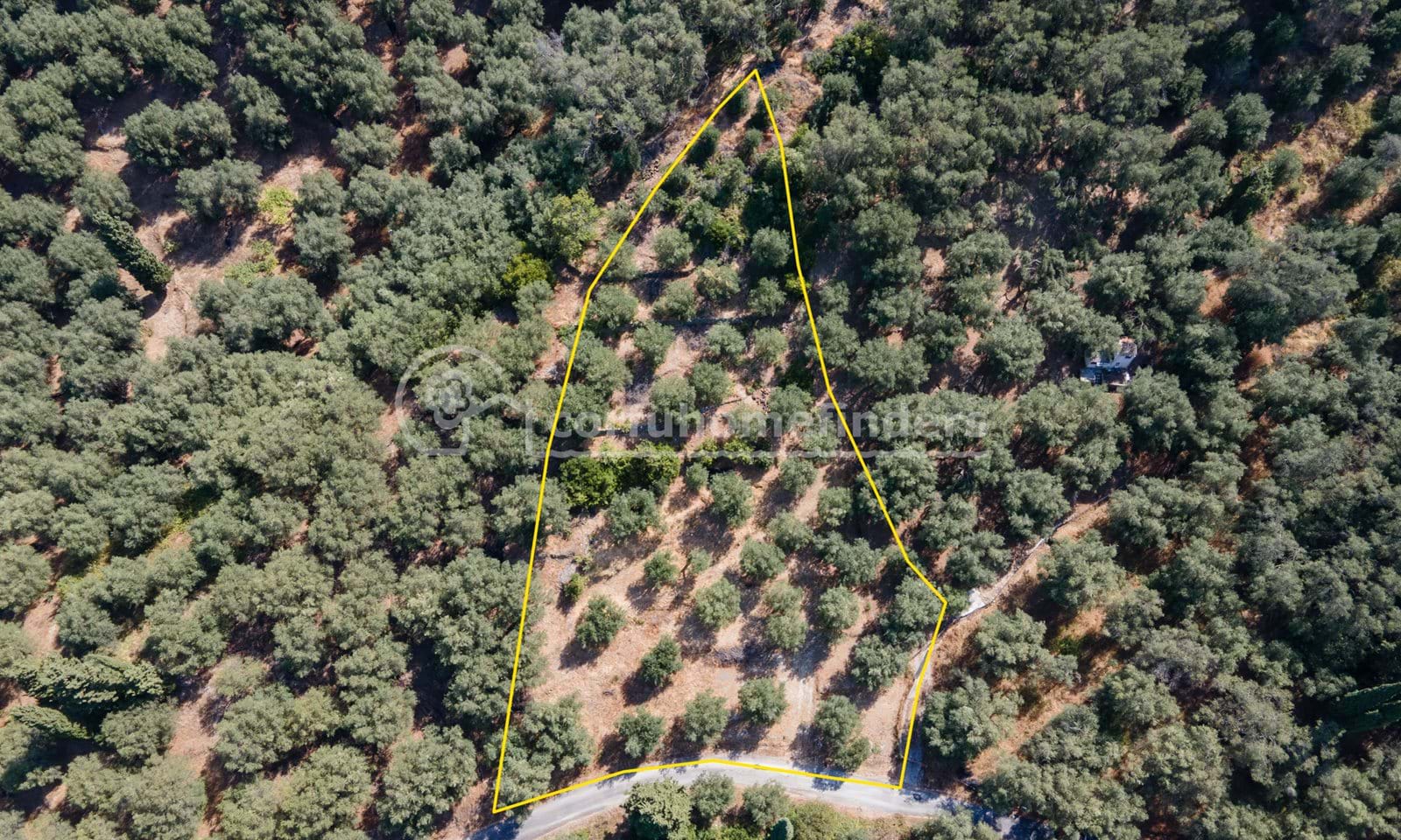 Listing photograph 4 of 8 of the land in Agios Pantaleimonas, published by Corfu Home Finders.