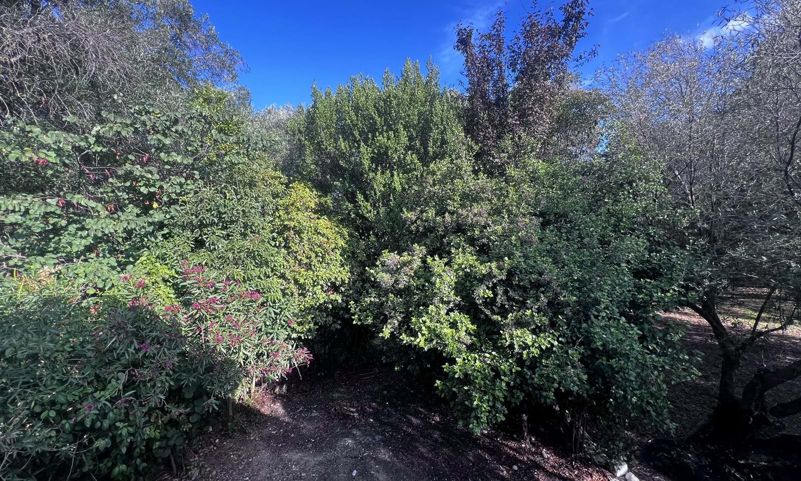Listing photograph 12 of 12 of the house in Dafni, published by Corfu Home Finders.