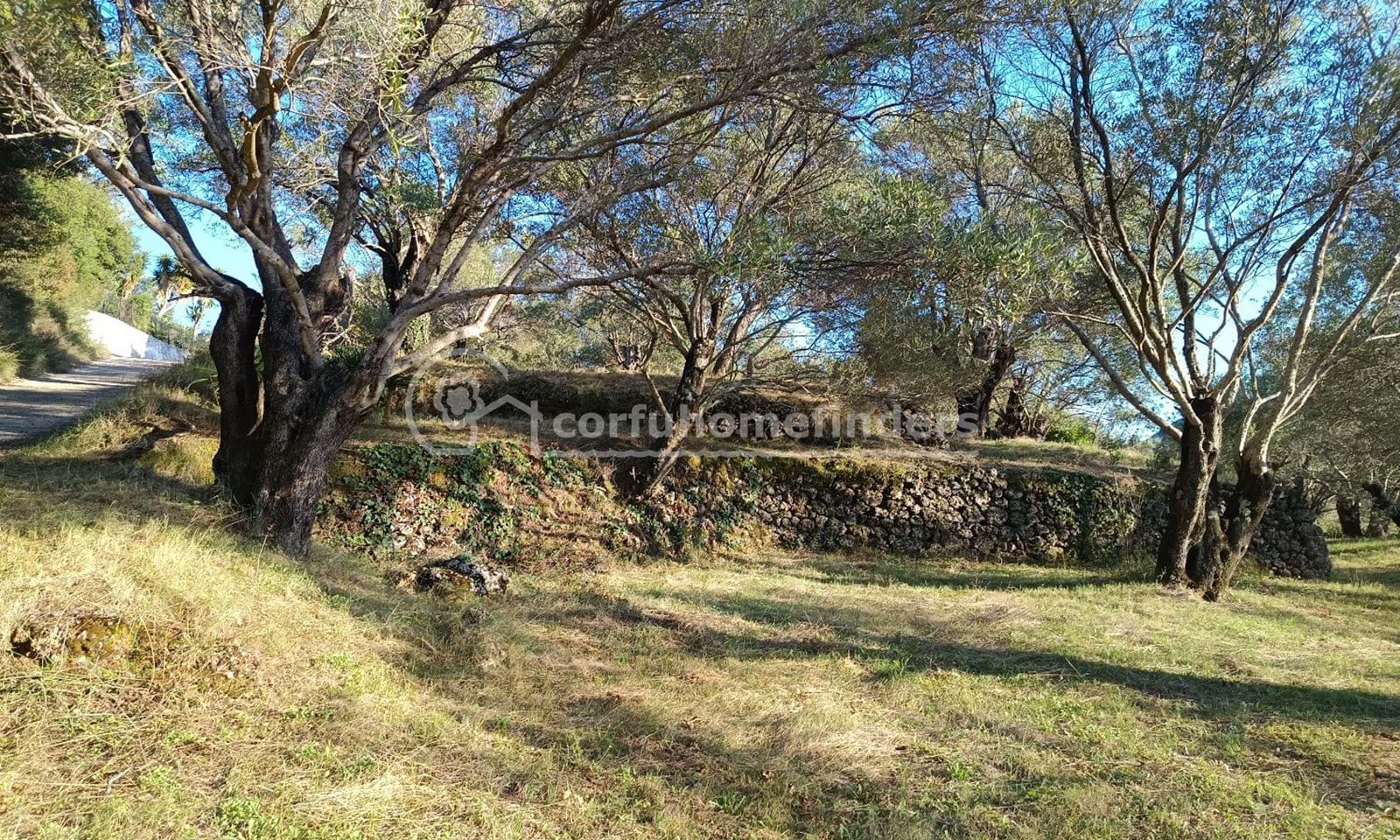 Listing photograph 3 of 6 of the land in Gastouri, published by Corfu Home Finders.