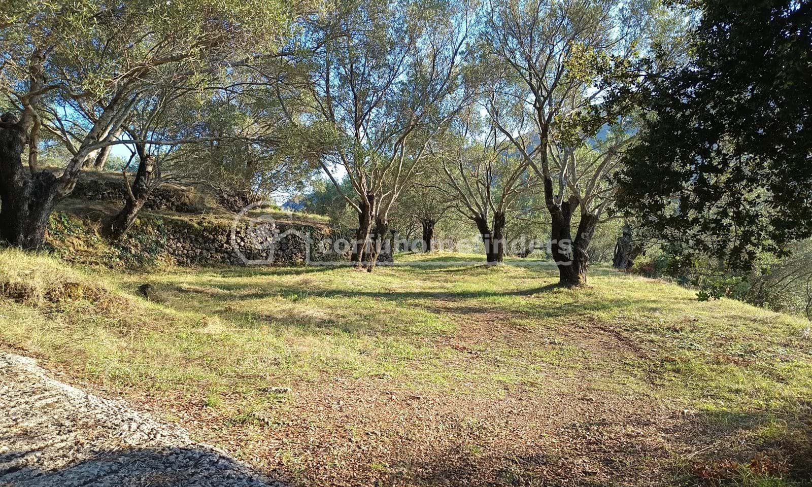 Listing photograph 4 of 6 of the land in Gastouri, published by Corfu Home Finders.