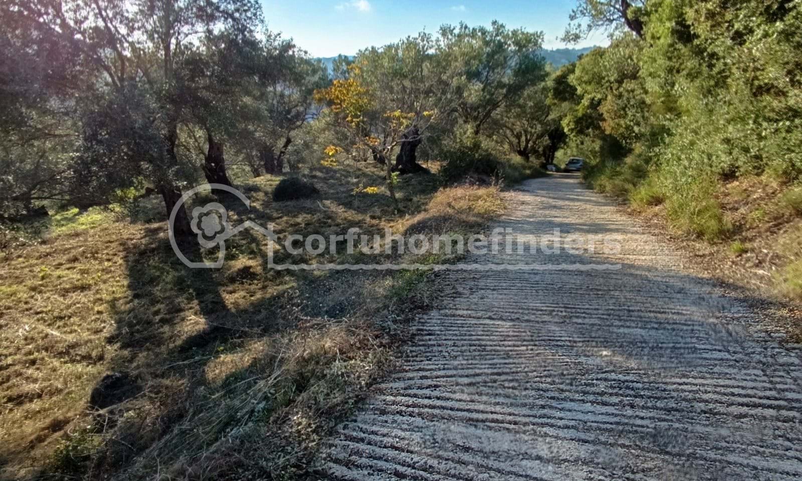 Listing photograph 2 of 6 of the land in Gastouri, published by Corfu Home Finders.
