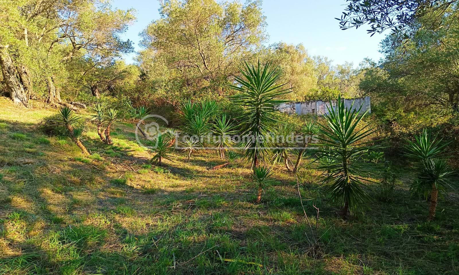 Listing photograph 6 of 6 of the land in Gastouri, published by Corfu Home Finders.