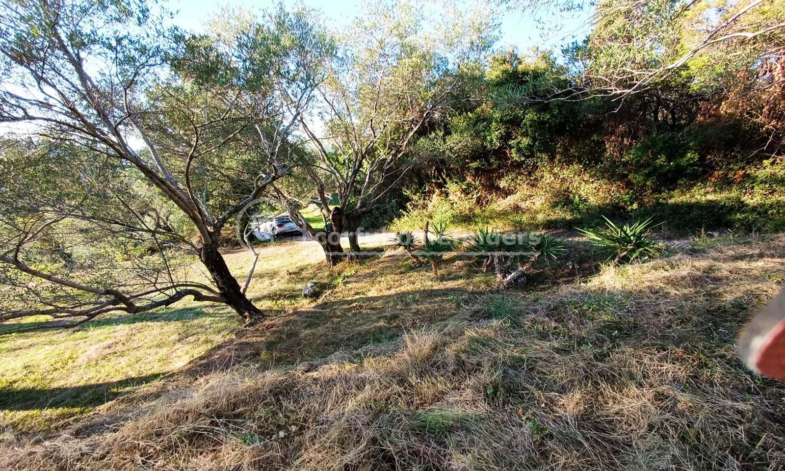 Listing photograph 5 of 6 of the land in Gastouri, published by Corfu Home Finders.