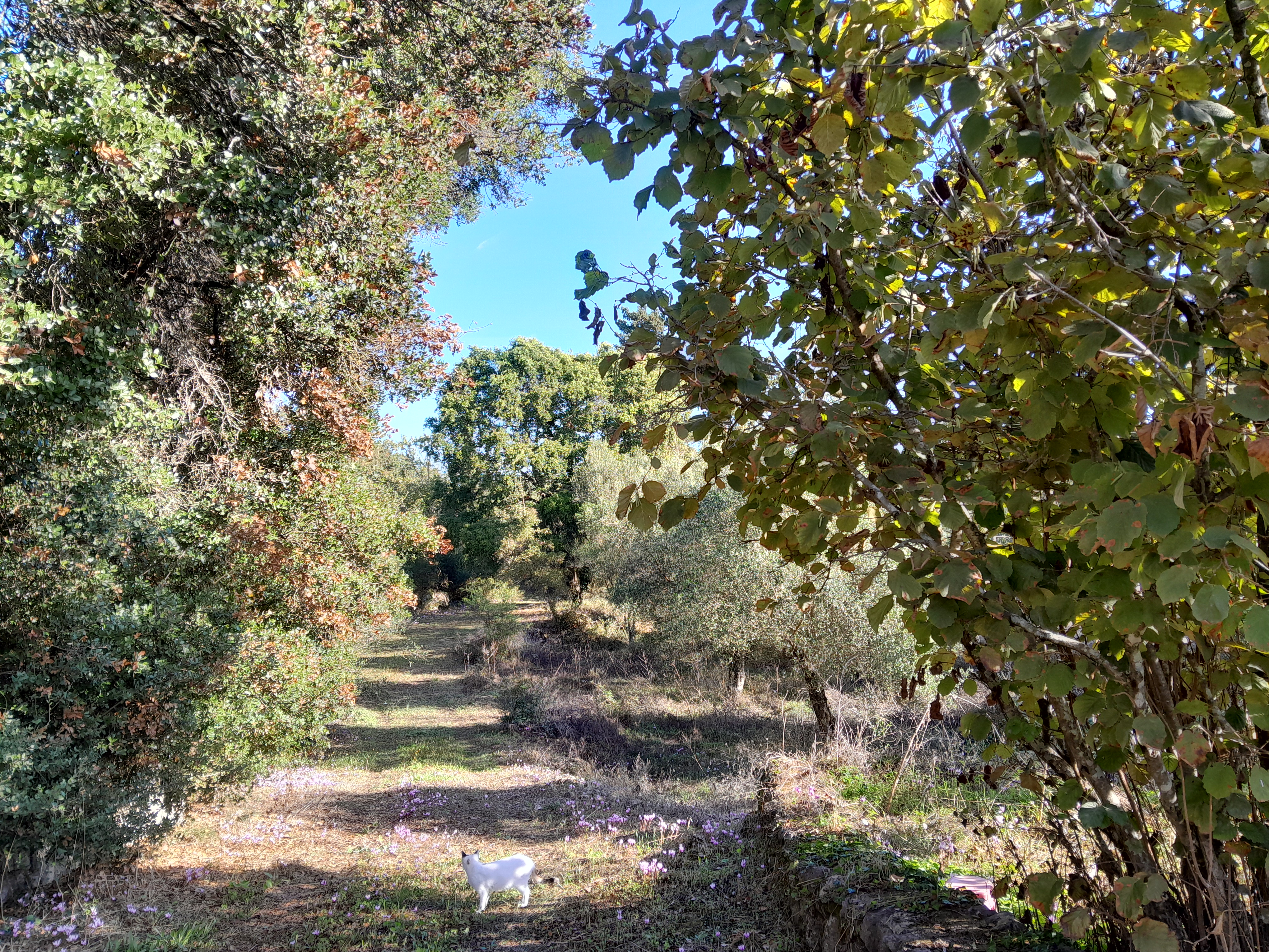 Image for property: 21082