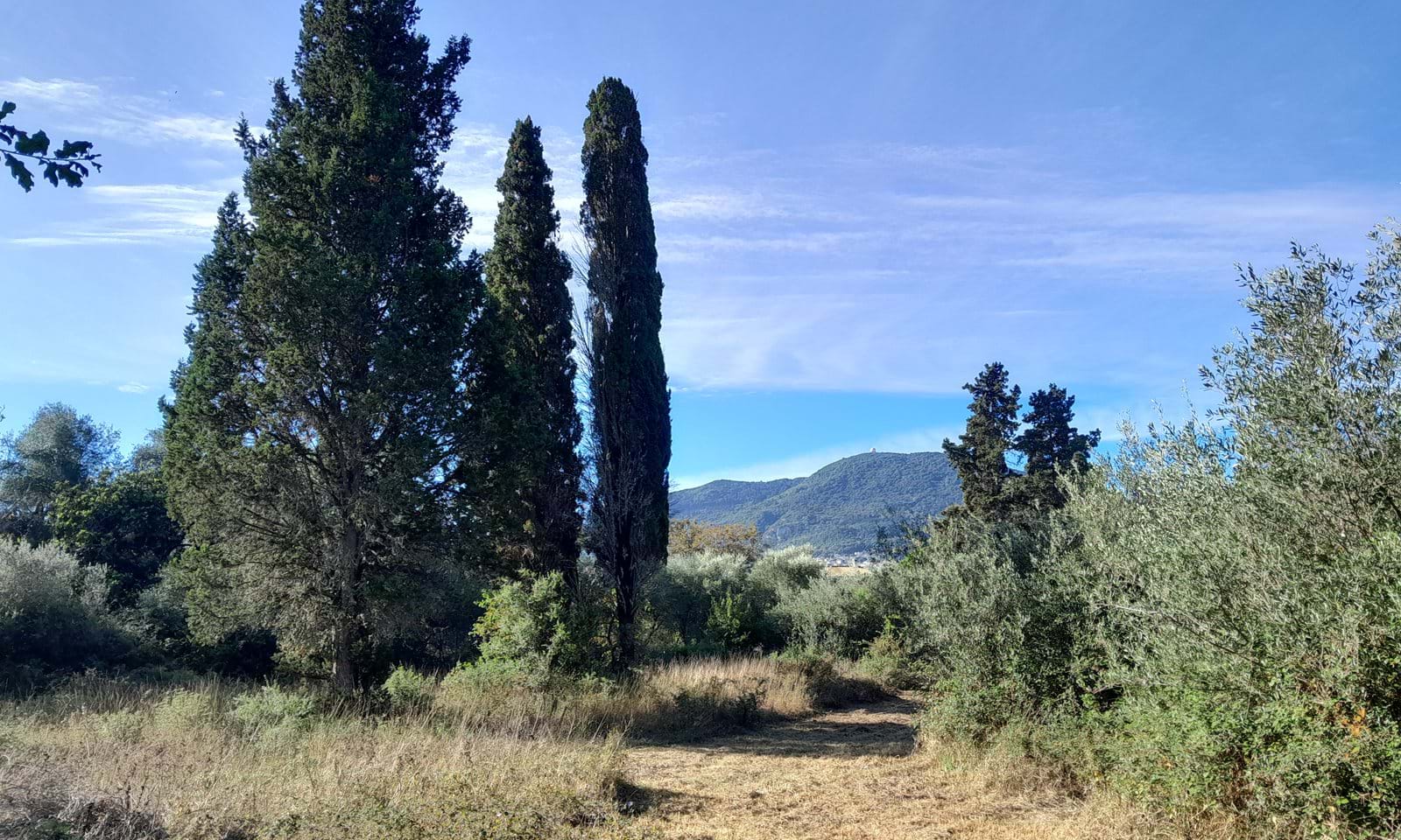 Listing photograph 2 of 2 of the land in Gastouri, published by Corfu Home Finders.