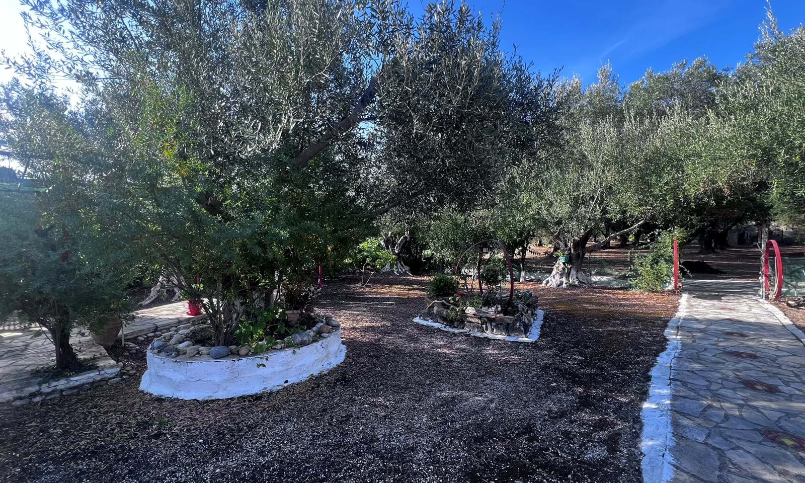 Listing photograph 13 of 20 of the house in Dafni, published by Corfu Home Finders.