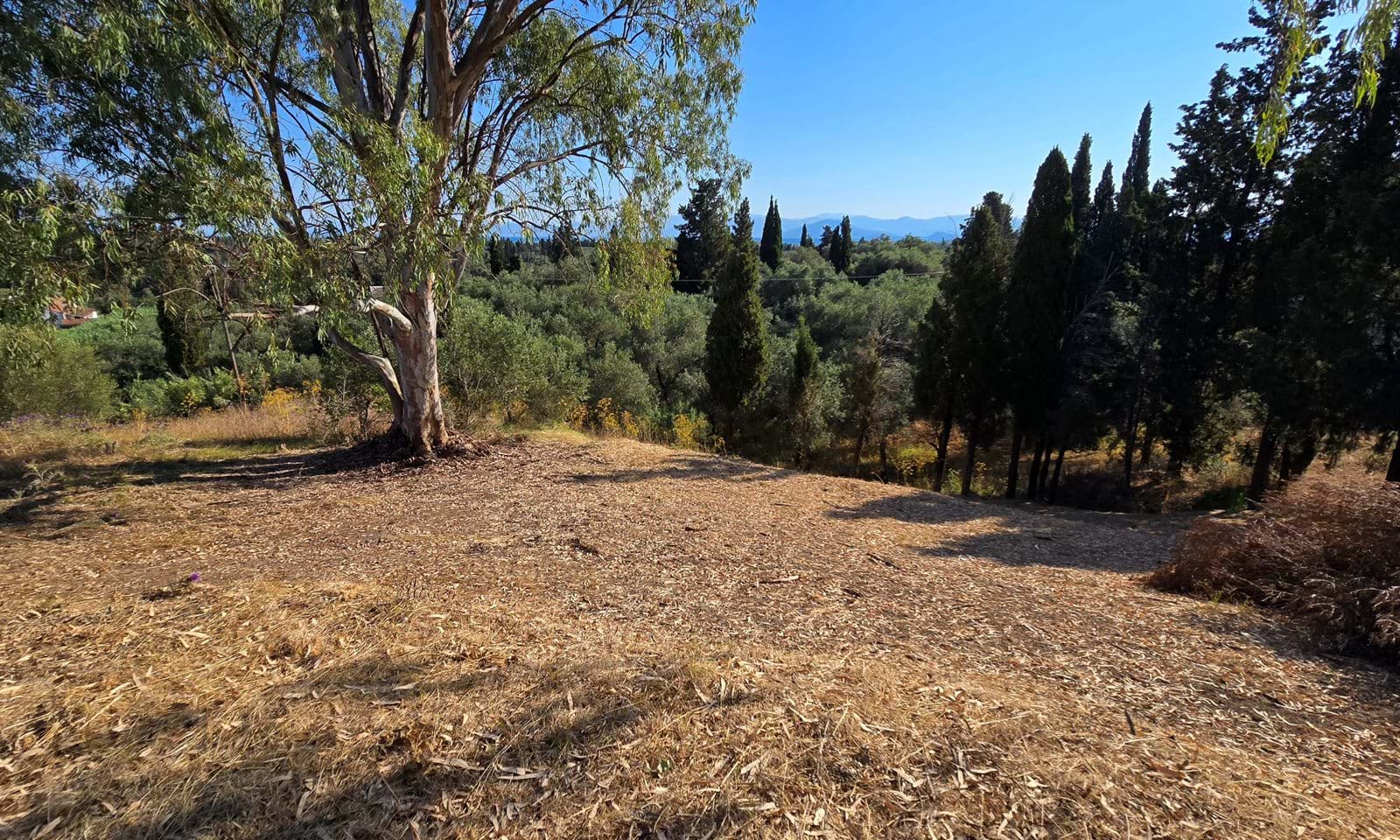 Listing photograph 4 of 4 of the land in Lefkimmi, published by Corfu Home Finders.