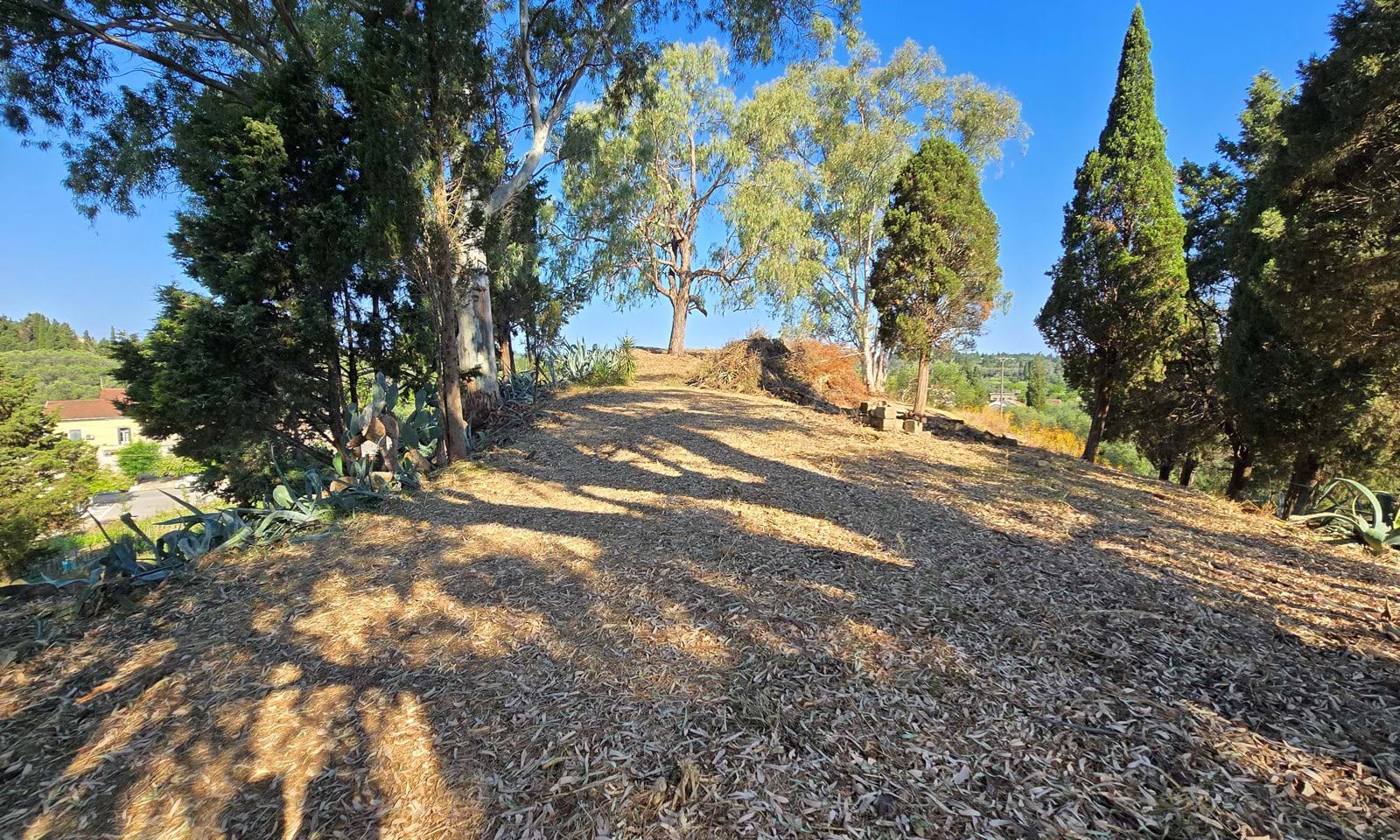 Listing photograph 3 of 4 of the land in Lefkimmi, published by Corfu Home Finders.