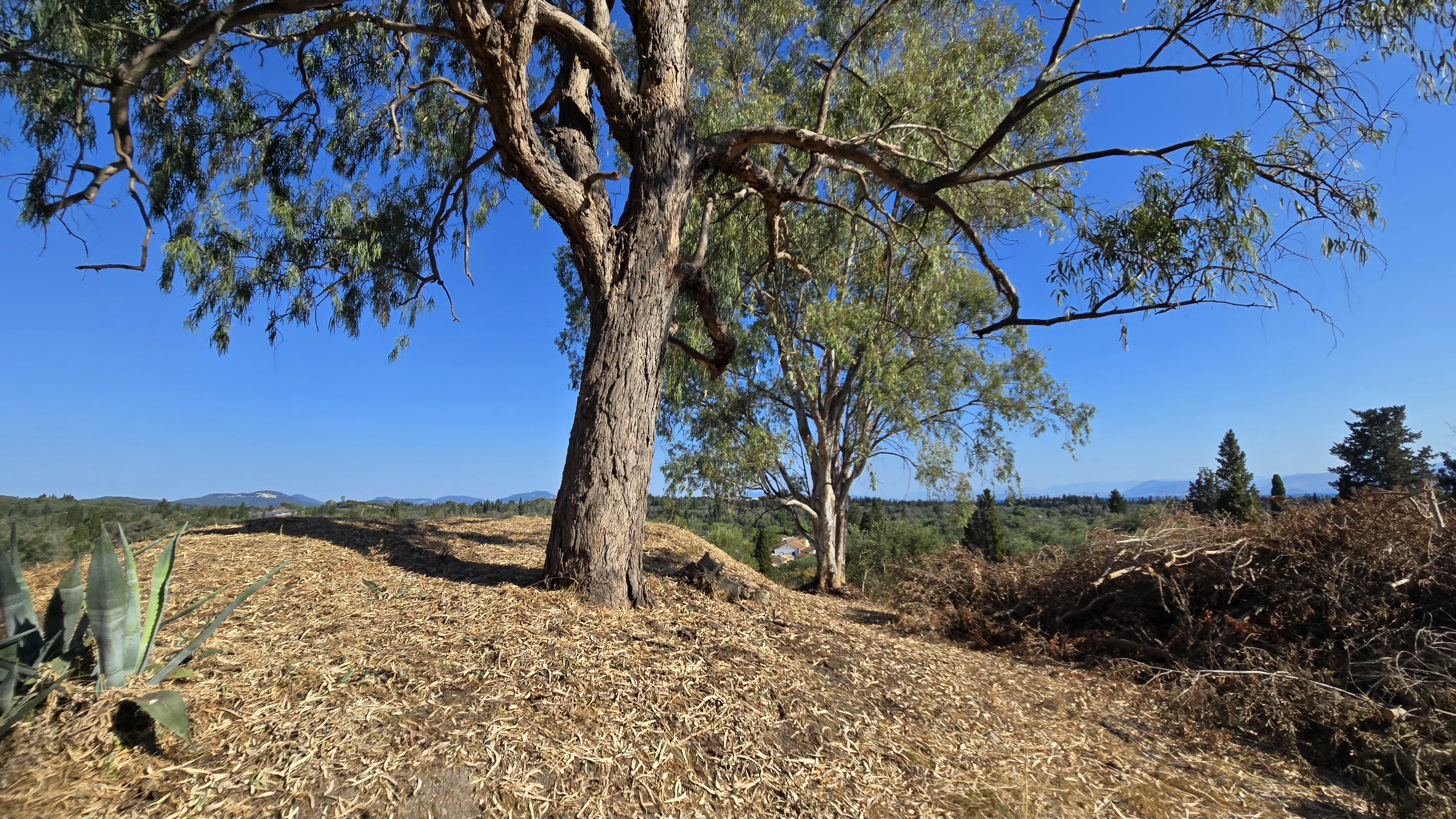 Image for property: 21092