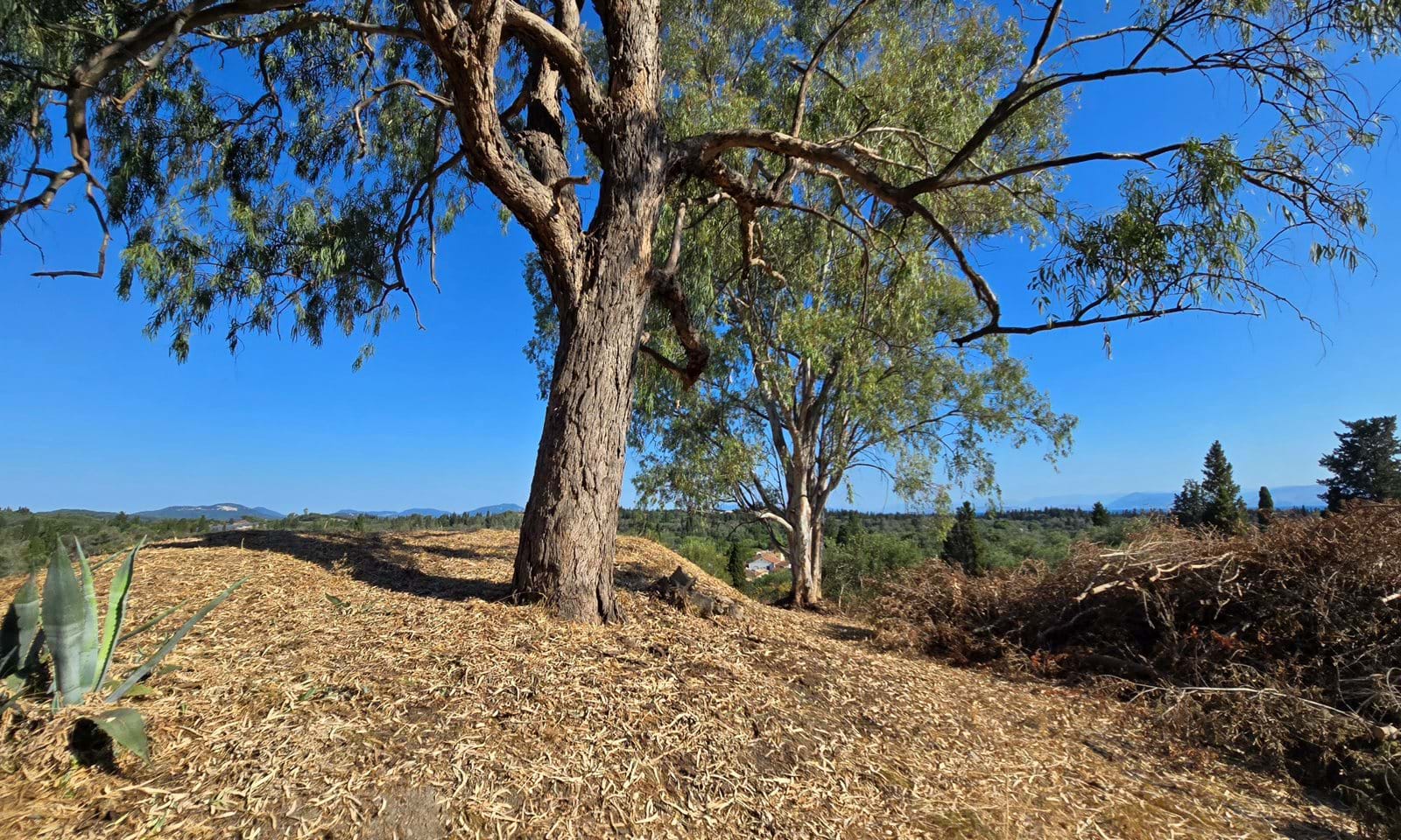 Listing photograph 1 of 4 of the land in Lefkimmi, published by Corfu Home Finders.