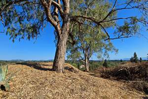 SILHOUETTE, Lefkimmi, Corfu