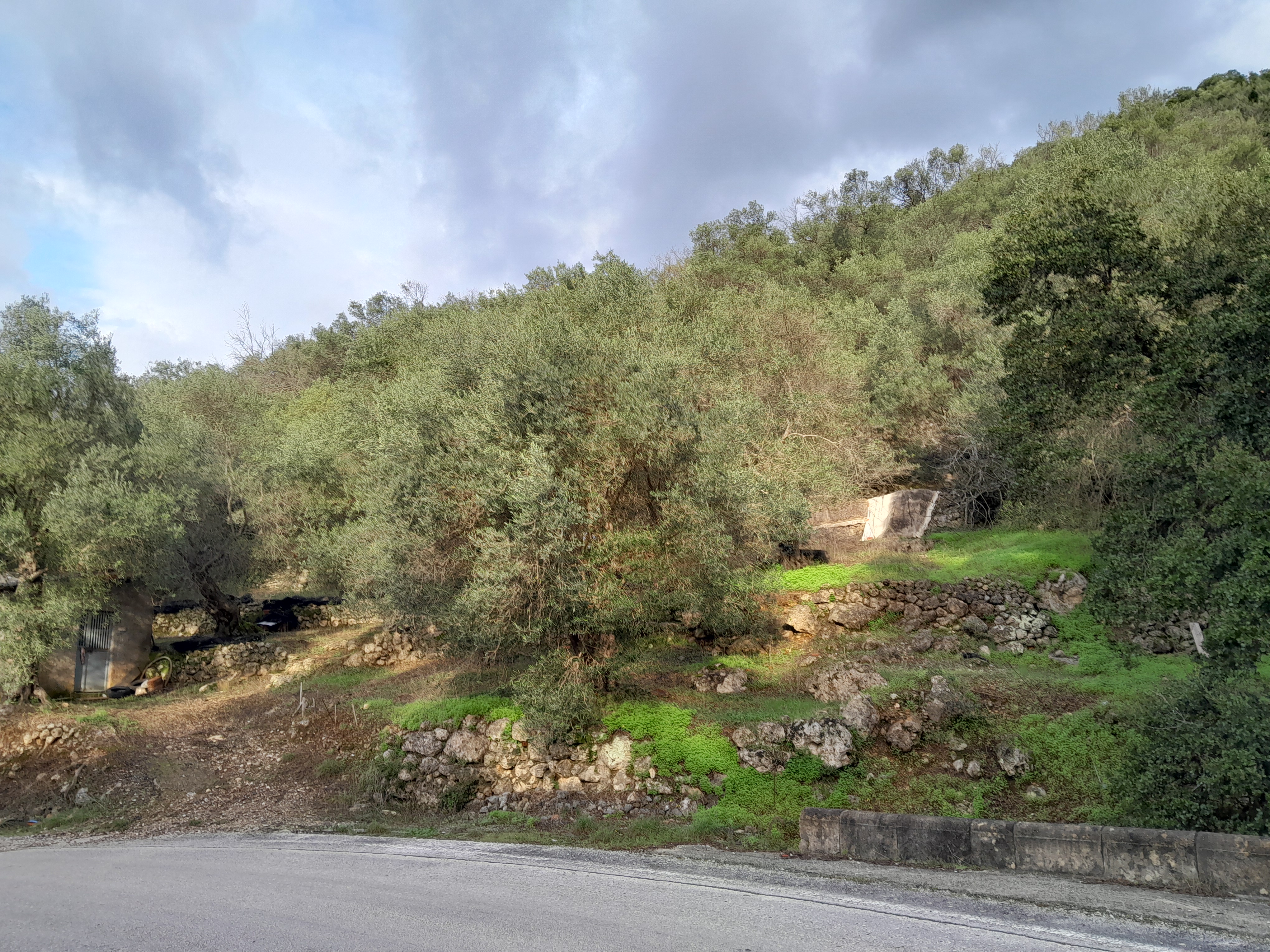 Image for property: 21094