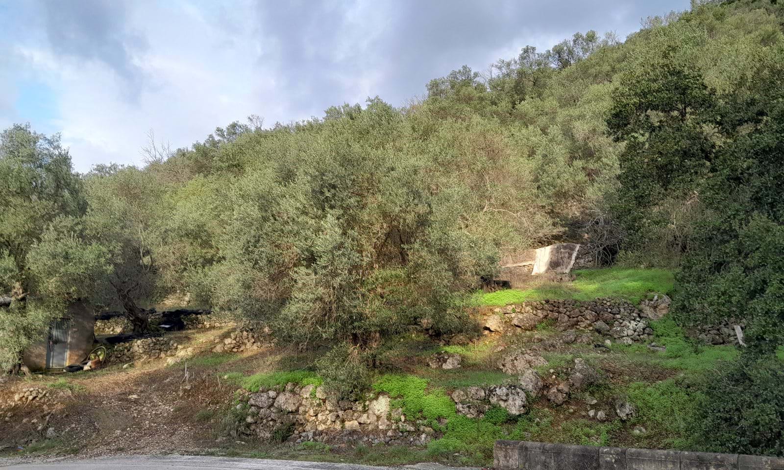 Listing photograph 10 of 11 of the land in Chlomos, published by Corfu Home Finders.