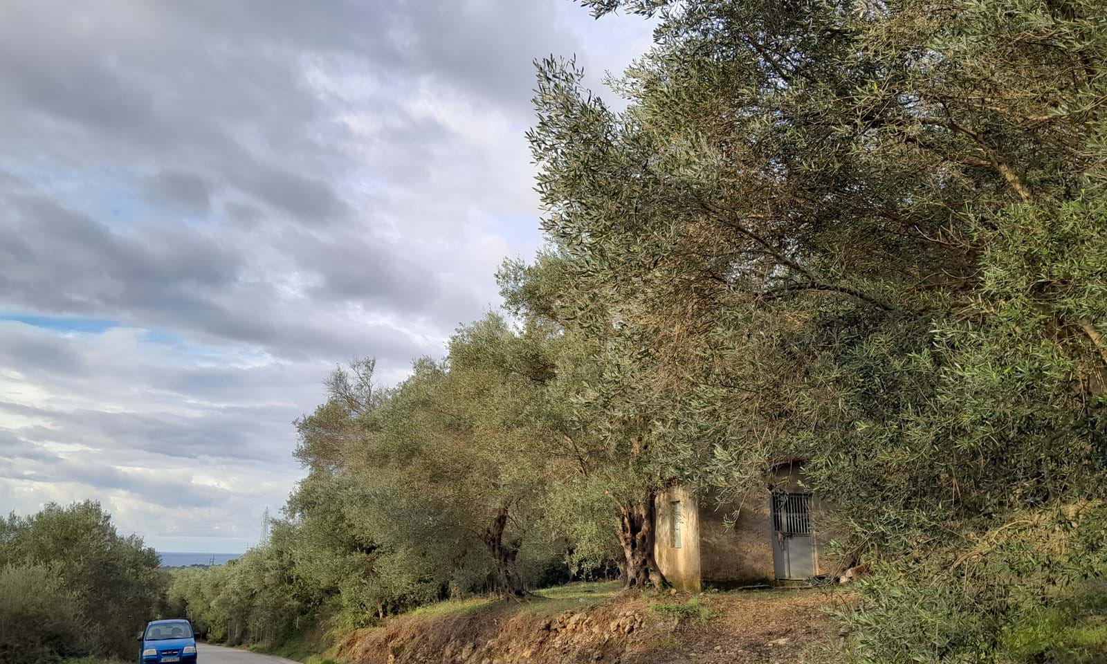 Listing photograph 11 of 11 of the land in Chlomos, published by Corfu Home Finders.
