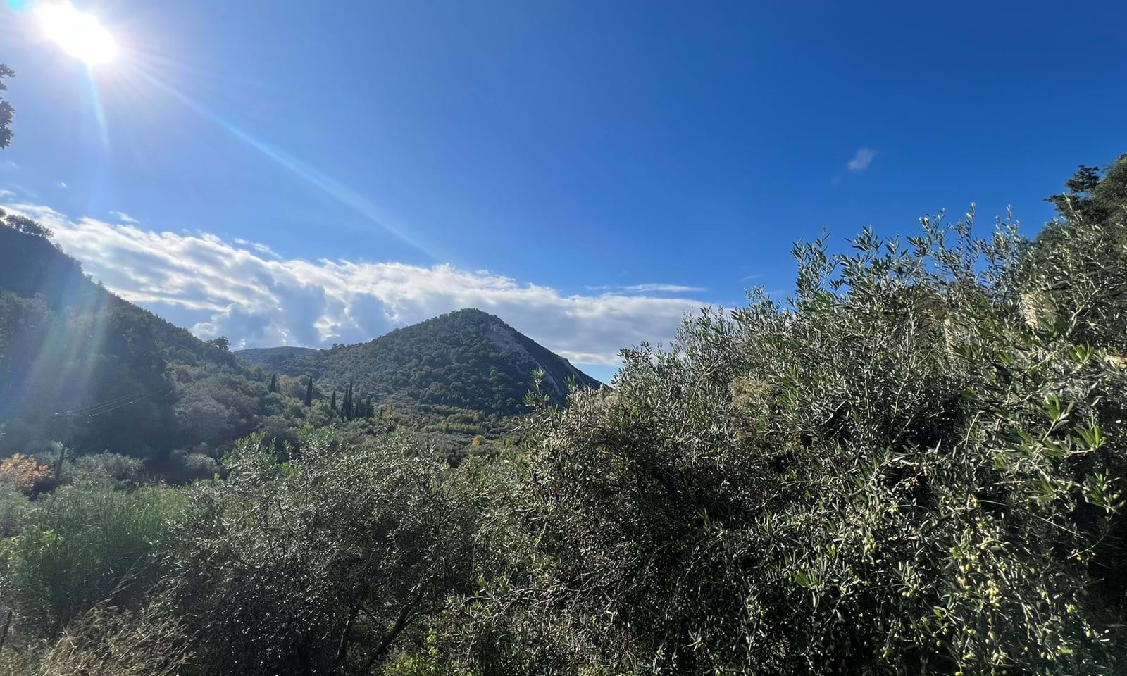 Listing photograph 3 of 6 of the land in Lafki, published by Corfu Home Finders.
