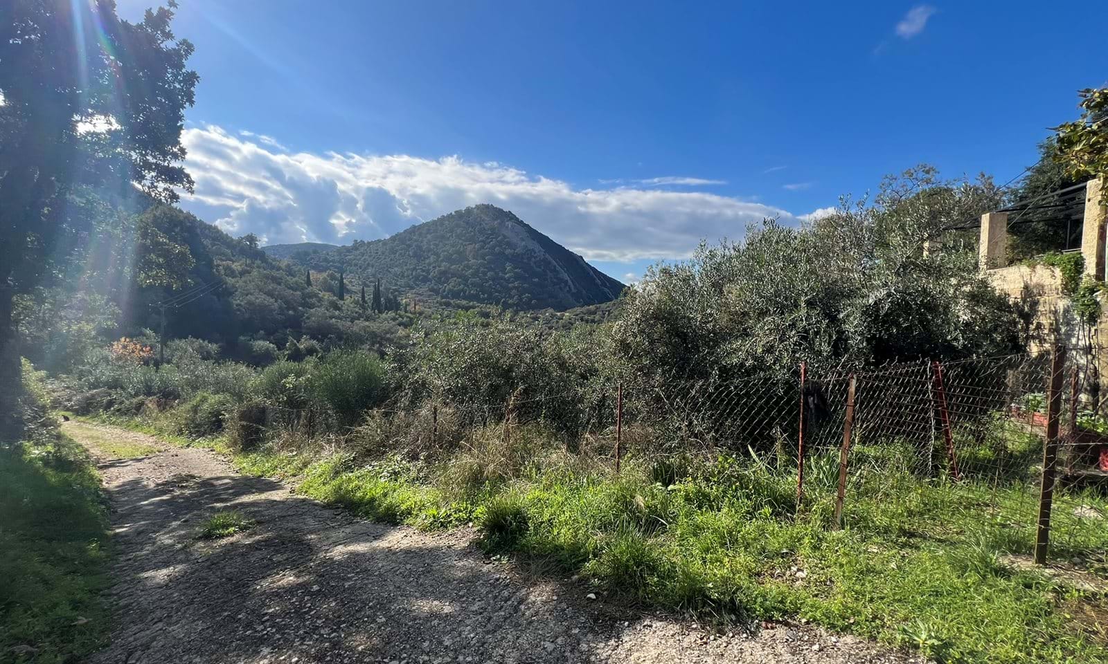 Listing photograph 2 of 6 of the land in Lafki, published by Corfu Home Finders.