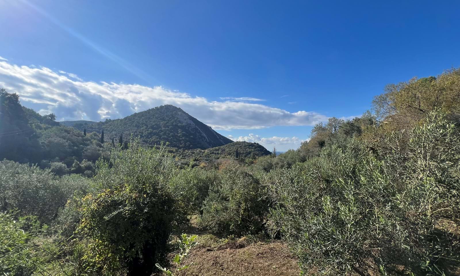 Listing photograph 1 of 6 of the land in Lafki, published by Corfu Home Finders.