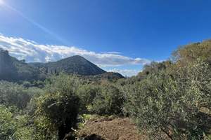 TRIMODI LAND, Trimodi, Corfu