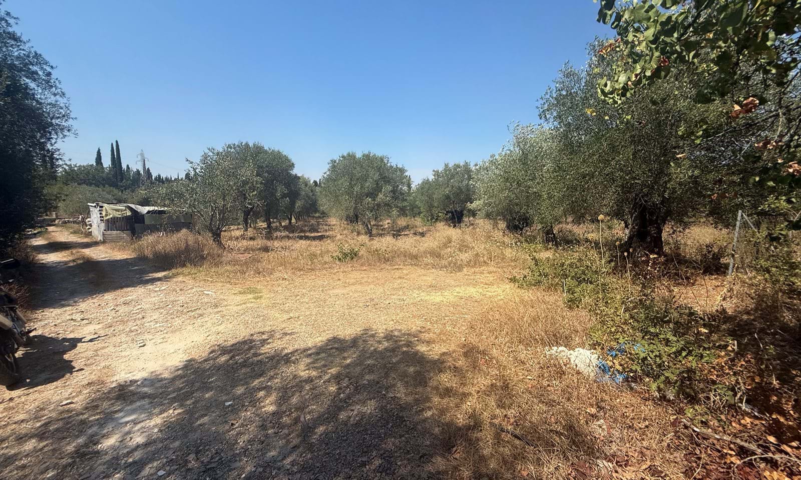 Listing photograph 8 of 8 of the land in Gastouri, published by Corfu Home Finders.