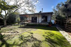 MAPLE HOUSE, Kouramades, Corfu