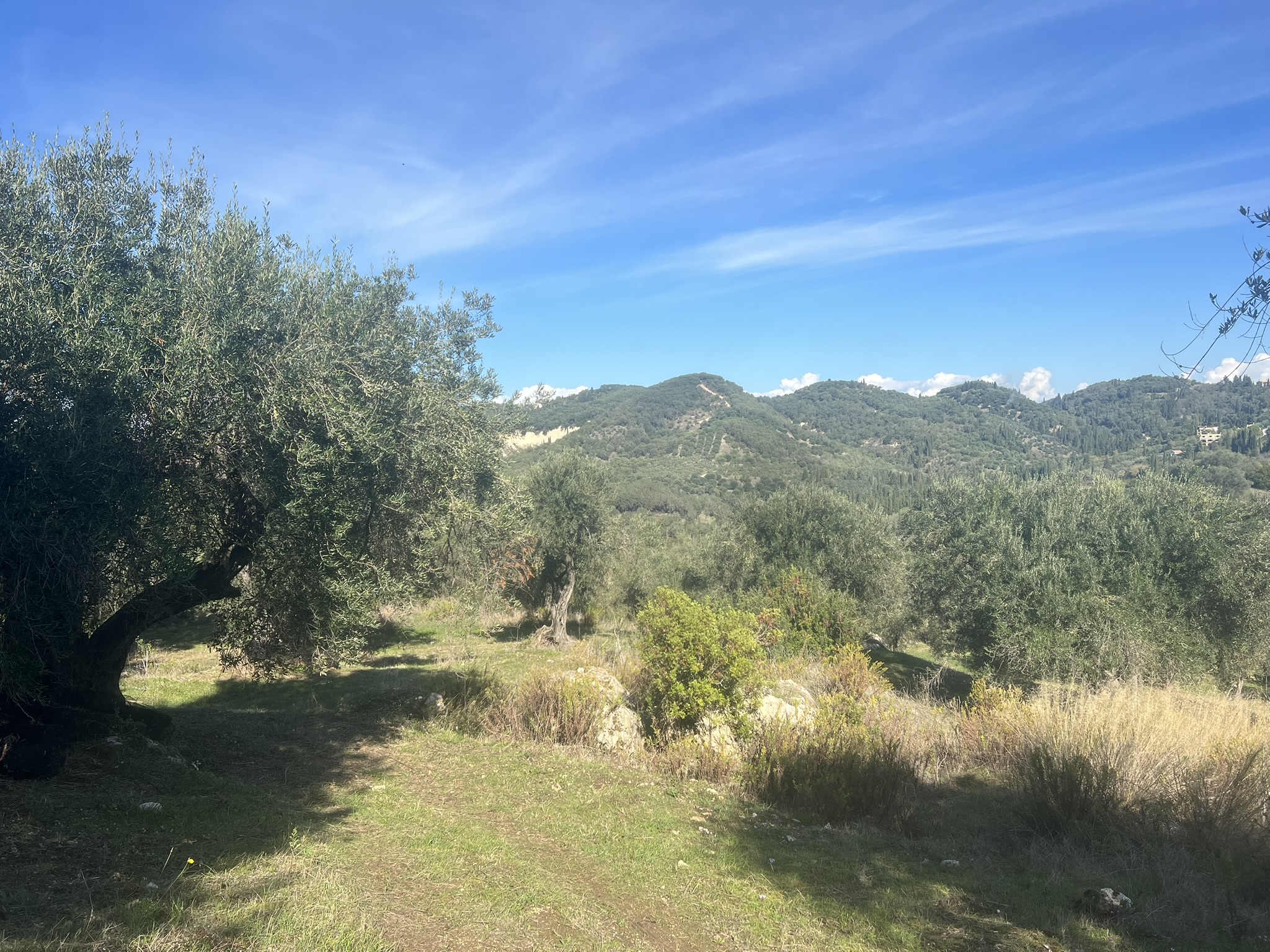 Image for property: 21106