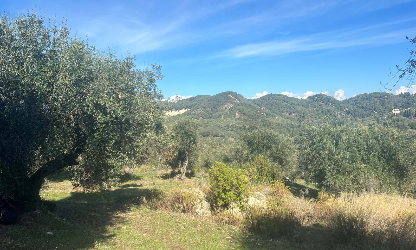 Listing photograph 1 of 5 of the land in Kavadades, published by Corfu Home Finders.