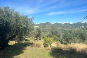 MEGA LITHARI, Arillas, Corfu