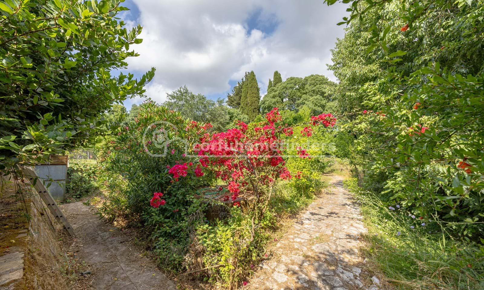 Listing photograph 20 of 20 of the house in Corfu Town, published by Corfu Home Finders.