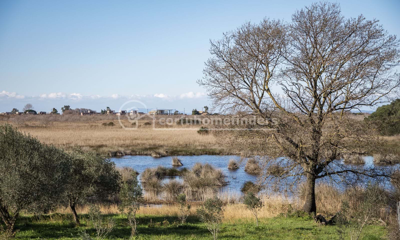 Listing photograph 3 of 5 of the land in Perithia, published by Corfu Home Finders.