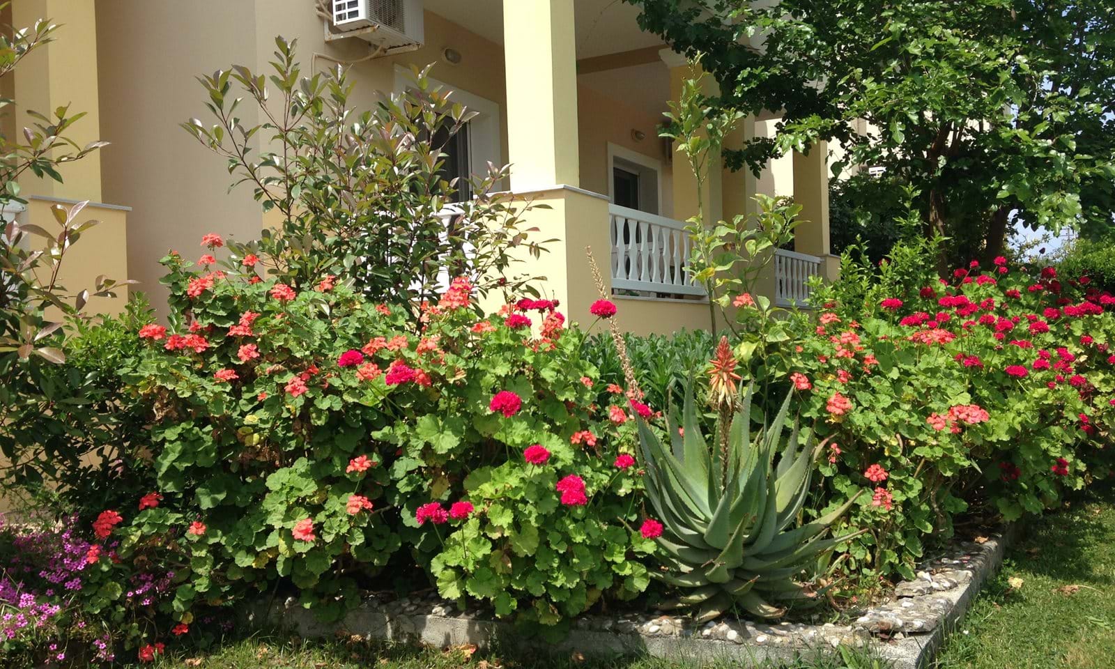 Listing photograph 10 of 18 of the house in Arilas, published by Corfu Home Finders.