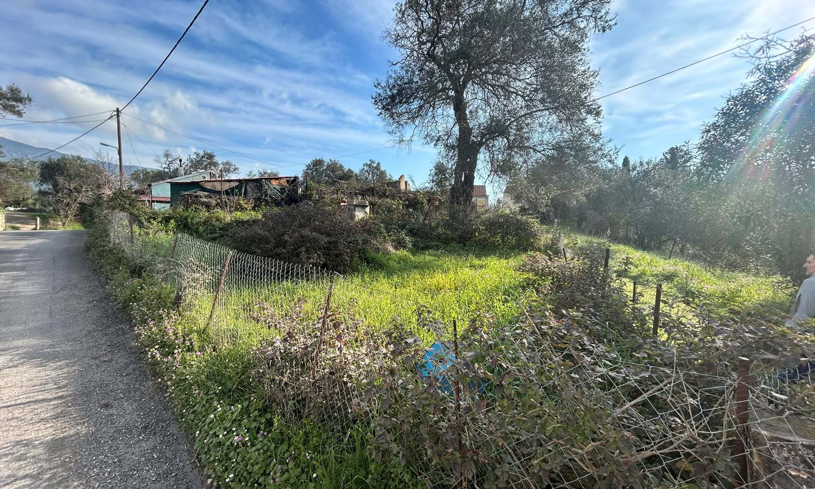 Listing photograph 2 of 4 of the land in Kato Korakiana, published by Corfu Home Finders.