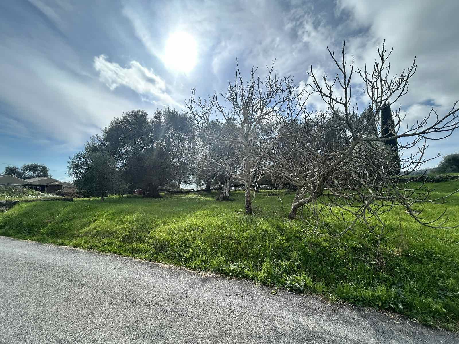 Image for property: 21142