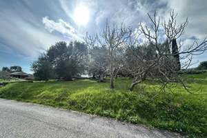 QUEENSLAND, Kato Korakiana, Corfu