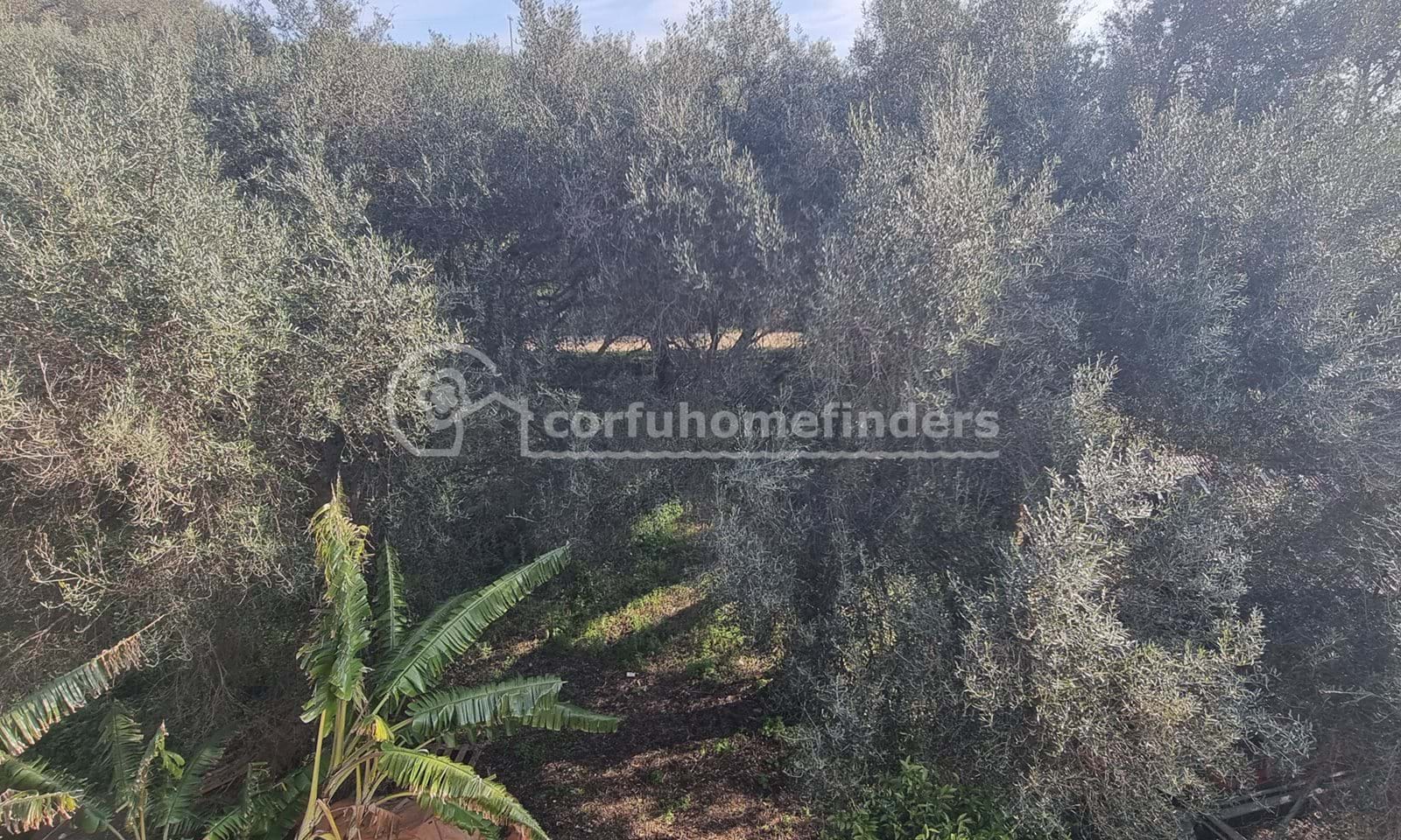 Listing photograph 11 of 23 of the house in Agios Mattheos, published by Corfu Home Finders.