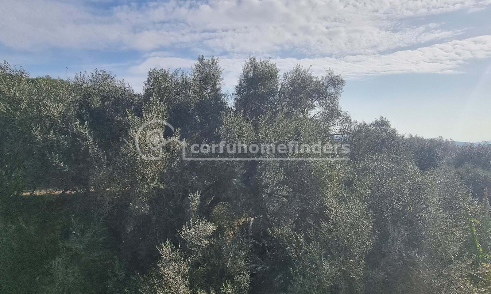 Listing photograph 12 of 23 of the house in Agios Mattheos, published by Corfu Home Finders.