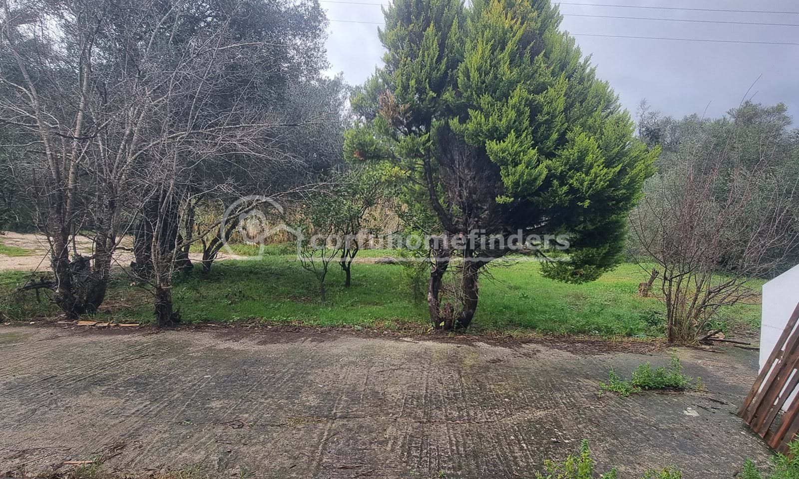 Listing photograph 9 of 9 of the commercial in Mesongi, published by Corfu Home Finders.