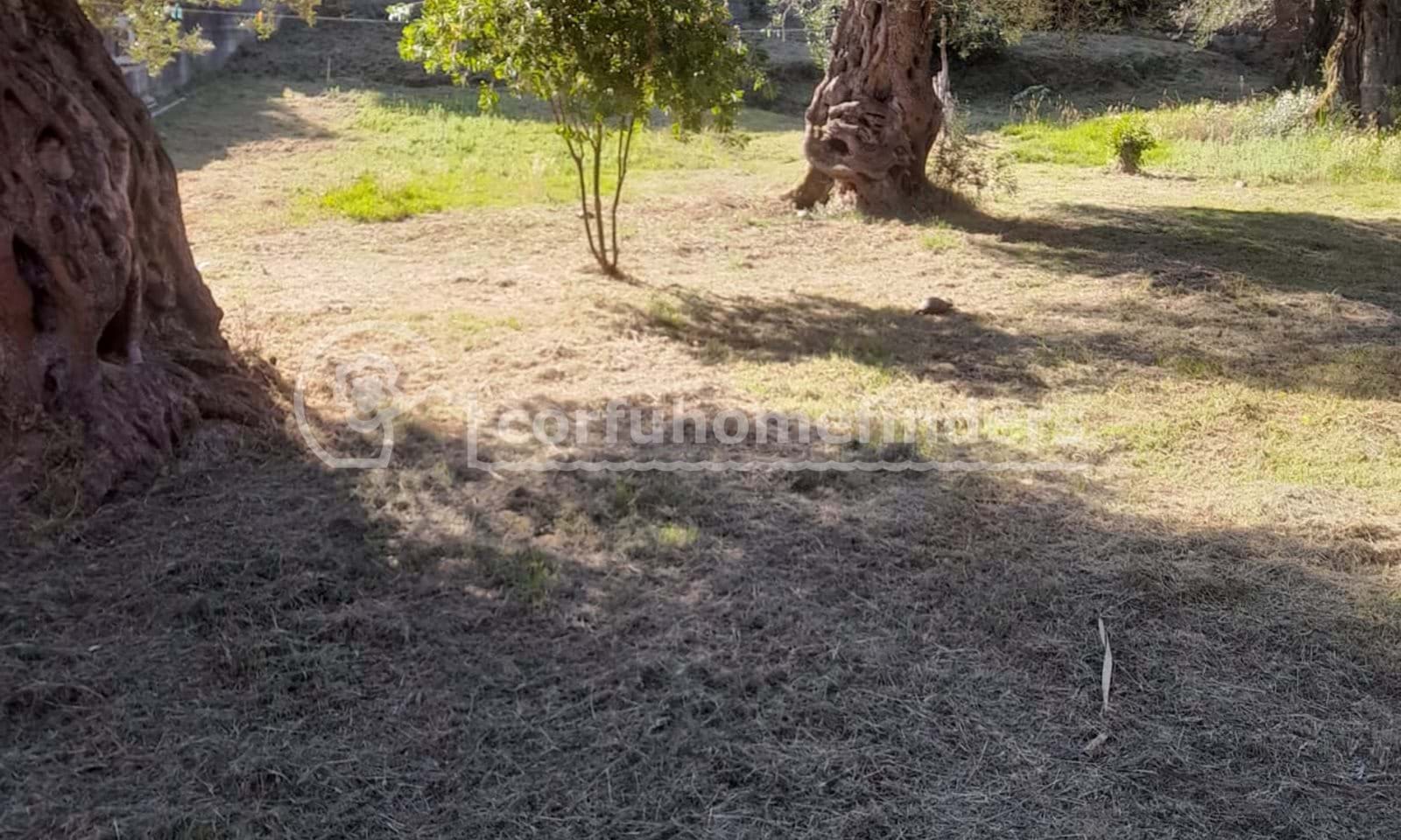 Listing photograph 17 of 17 of the house in Agios Nikolaos, published by Corfu Home Finders.