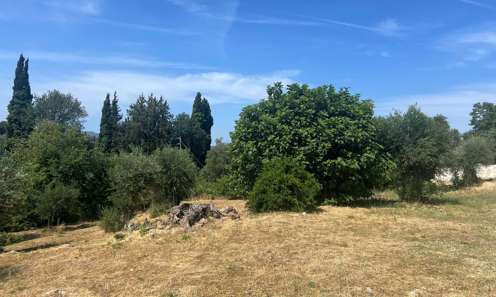 Listing photograph 5 of 6 of the land in Platonas, published by Corfu Home Finders.