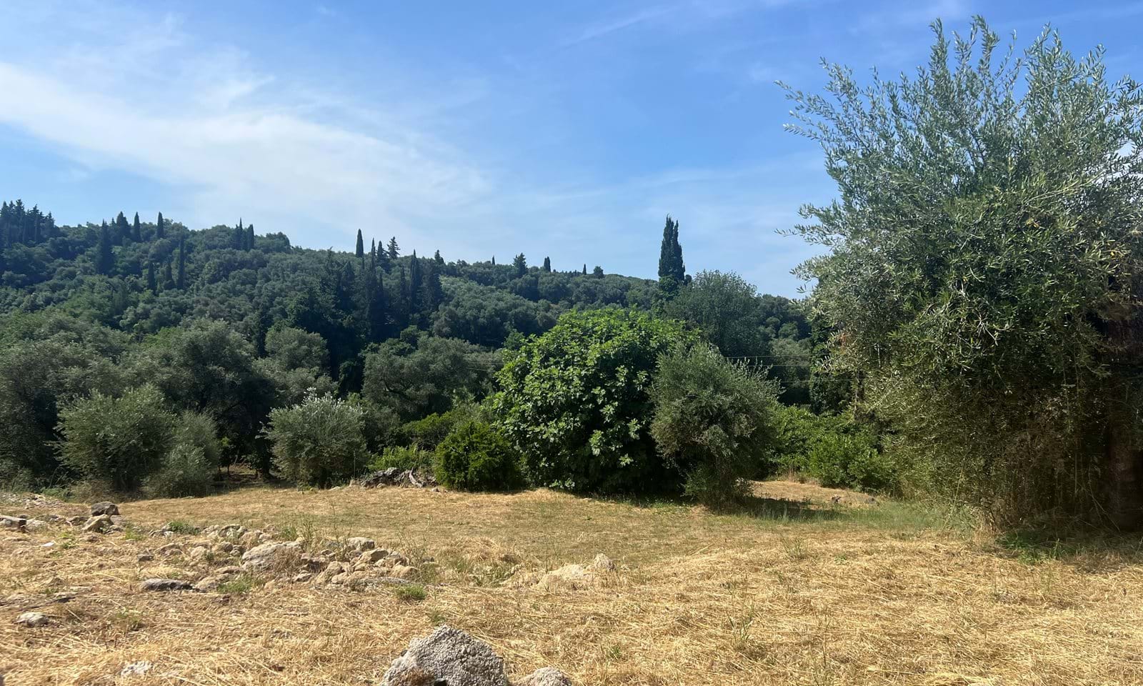 Listing photograph 6 of 6 of the land in Platonas, published by Corfu Home Finders.