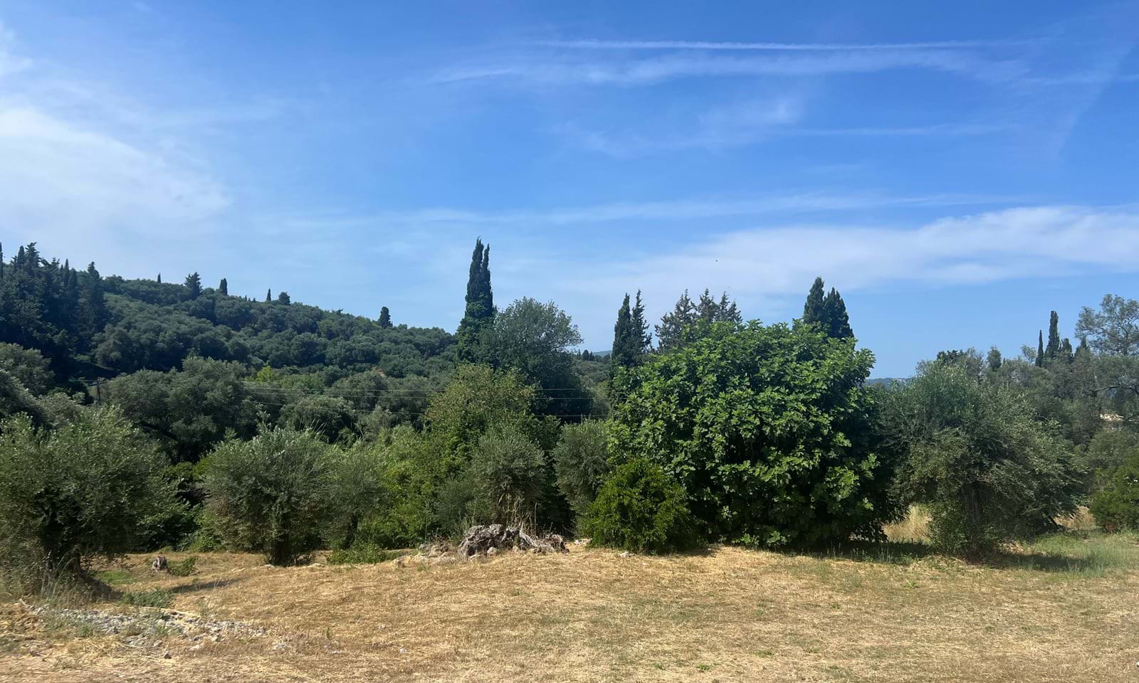 Listing photograph 1 of 6 of the land in Platonas, published by Corfu Home Finders.