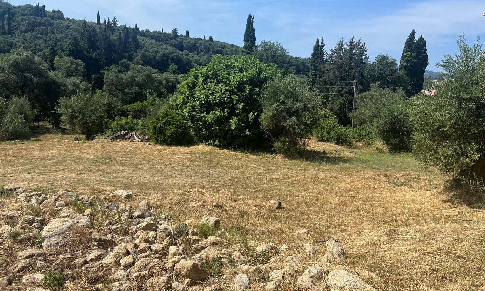 Listing photograph 4 of 6 of the land in Platonas, published by Corfu Home Finders.