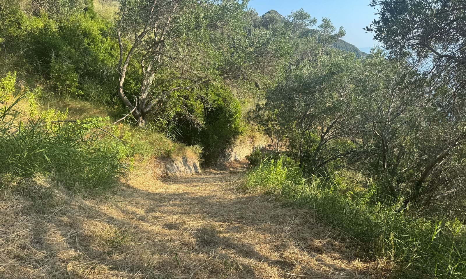 Listing photograph 3 of 7 of the land in Afionas, published by Corfu Home Finders.