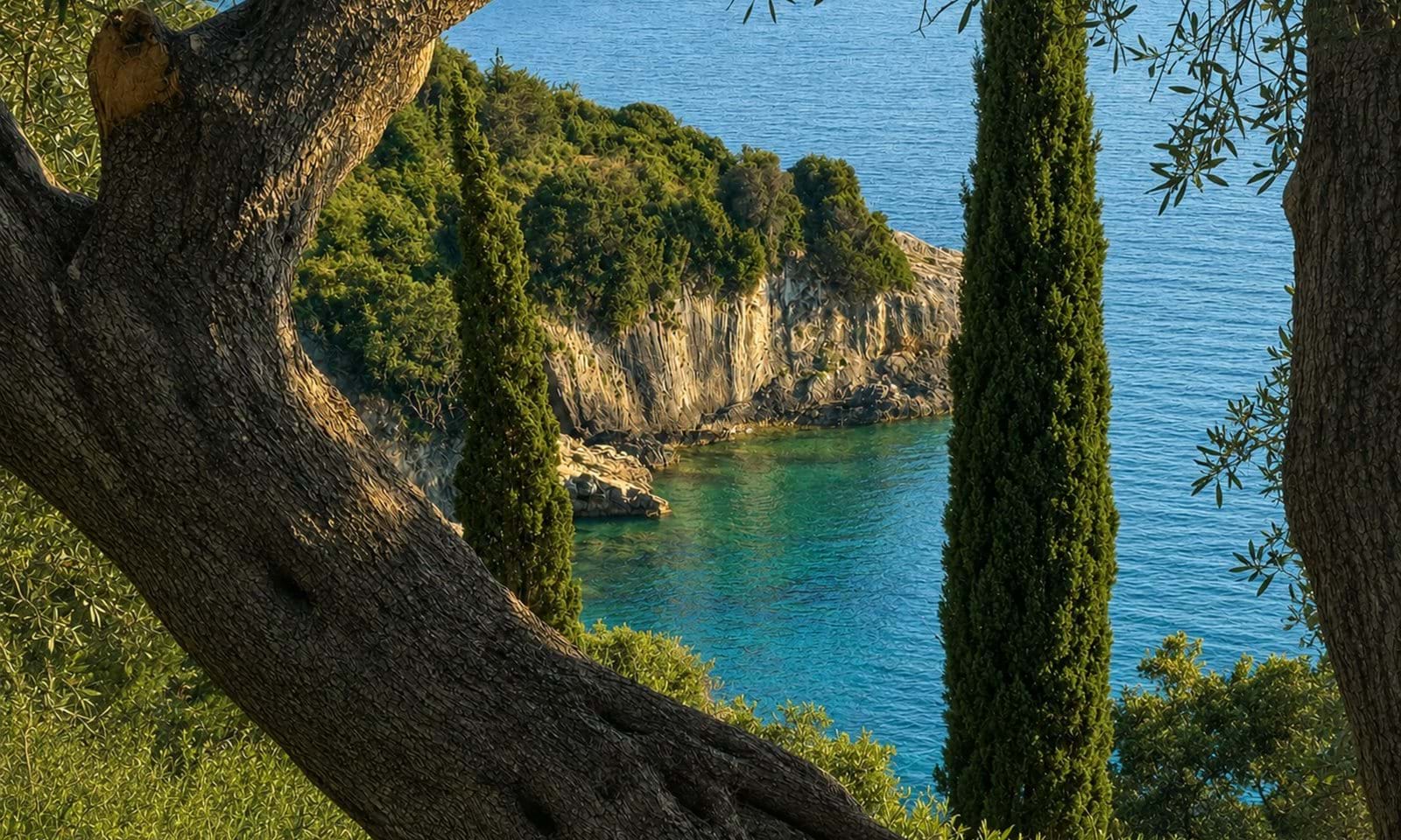Listing photograph 1 of 7 of the land in Afionas, published by Corfu Home Finders.