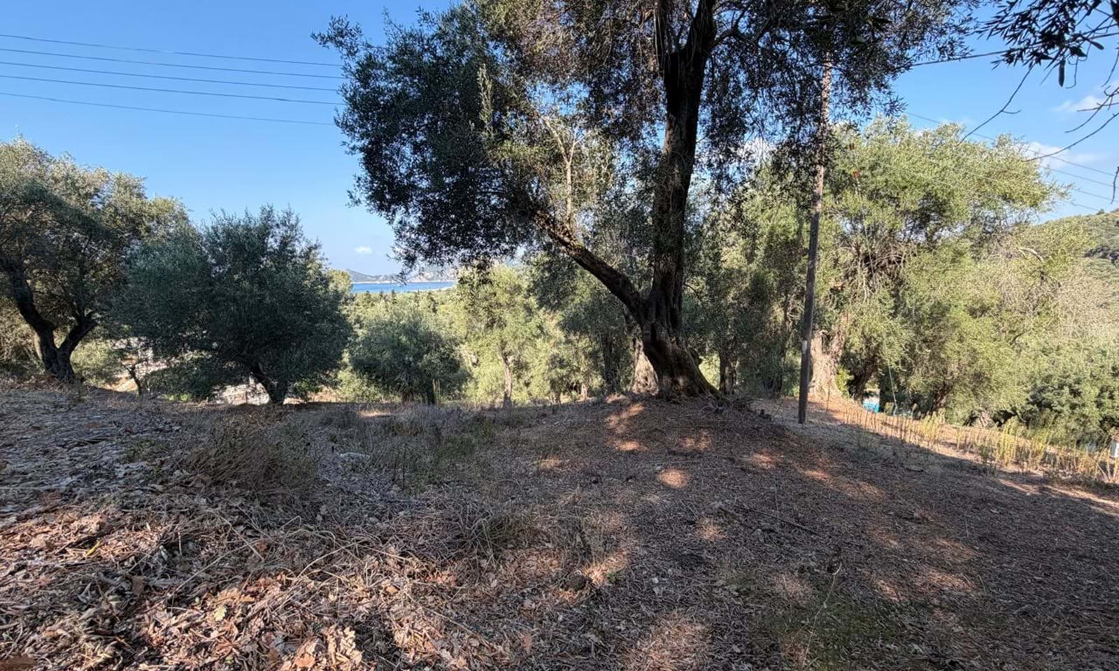 Listing photograph 5 of 7 of the land in Agios Georgios, Northern Corfu, published by Corfu Home Finders.