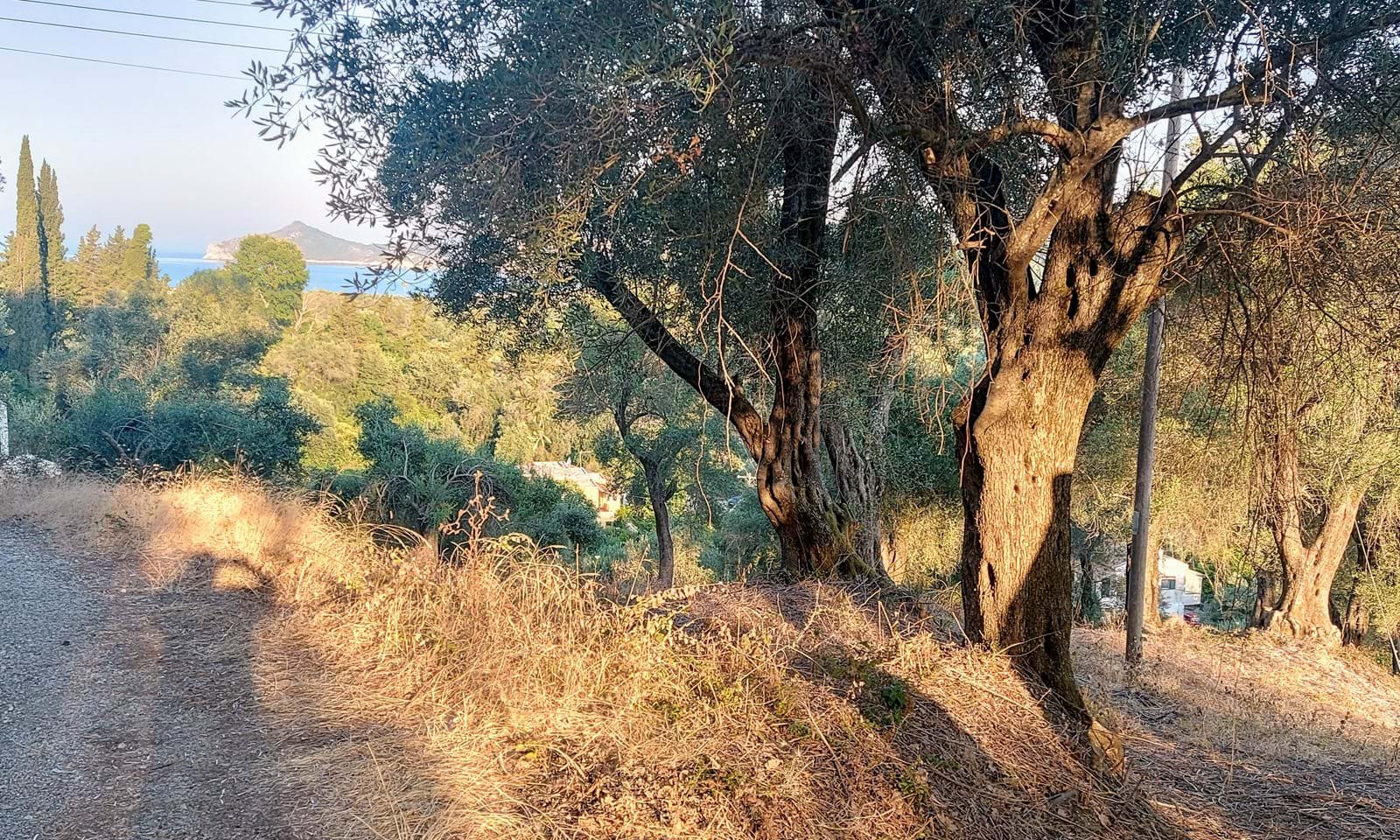 Listing photograph 7 of 7 of the land in Agios Georgios, Northern Corfu, published by Corfu Home Finders.