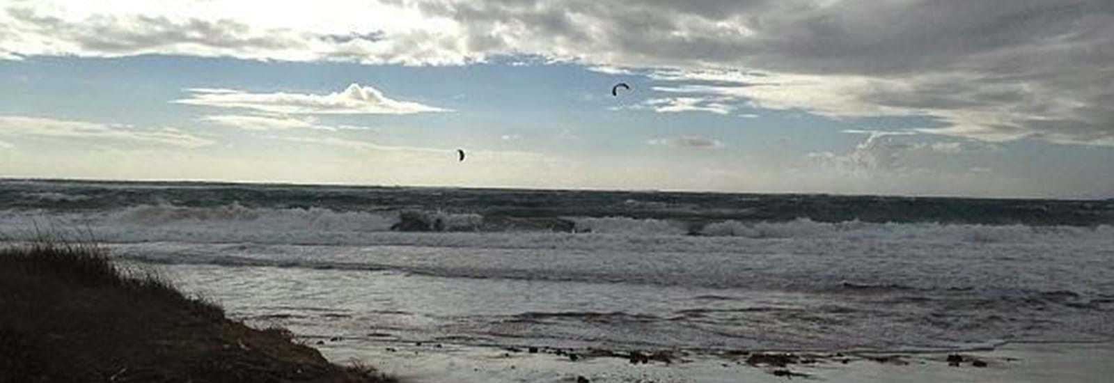 Banner for Just another day at the beach