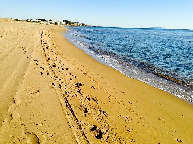 Christmas Coffee Morning