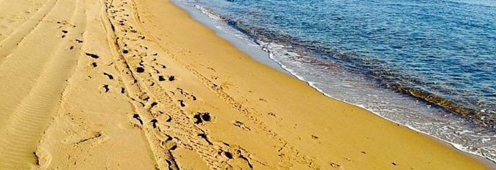 Banner for Christmas Coffee Morning