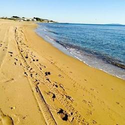 Christmas Coffee Morning